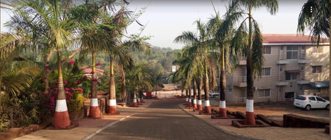 Studio Apartment for Sale at Dapoli Central Park Gold Valley @ 11 Lakhs